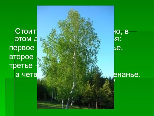 Стоит дерево, цветом зелено, в этом дереве – четыре угодья: первое – больным