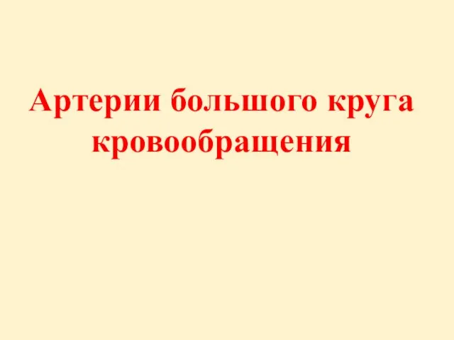 Артерии большого круга кровообращения