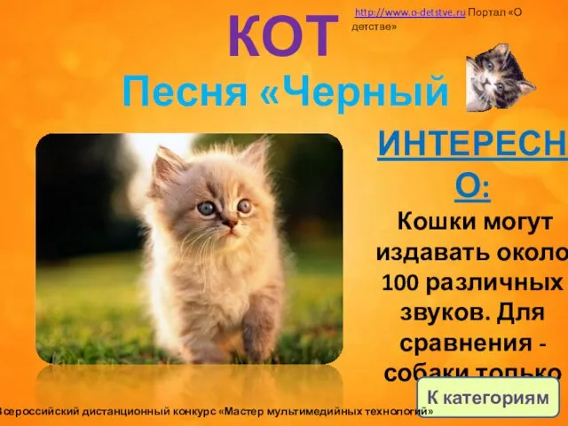 КОТ ИНТЕРЕСНО: Кошки могут издавать около 100 различных звуков. Для