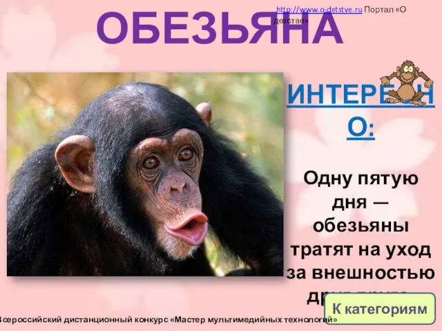 ОБЕЗЬЯНА ИНТЕРЕСНО: Одну пятую дня — обезьяны тратят на уход