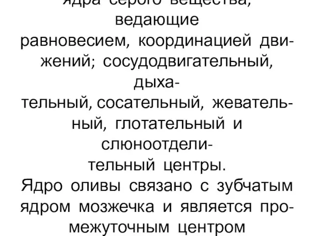 В продолговатом мозге заложены ядра серого вещества, ведающие равновесием, координацией дви- жений; сосудодвигательный,