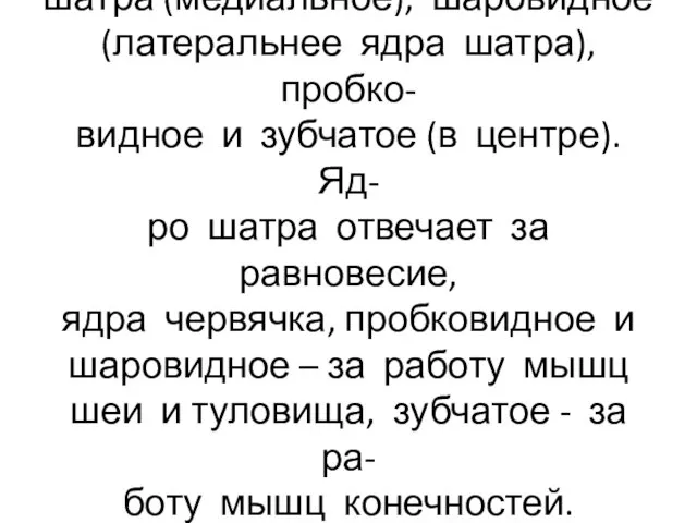 Мозжечок содержит ядра : ядро шатра (медиальное), шаровидное (латеральнее ядра шатра), пробко- видное