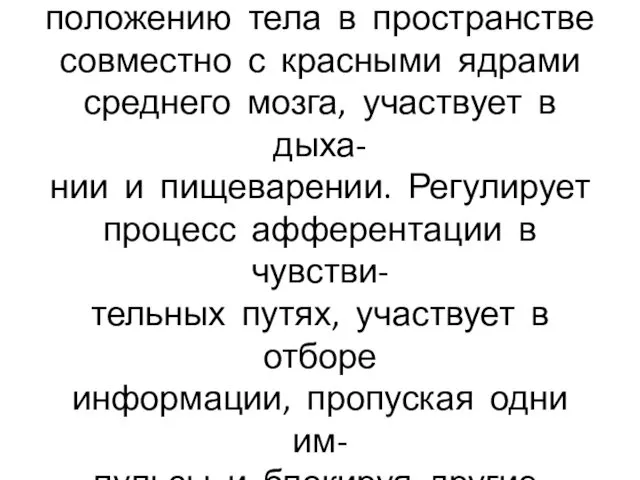 Ретикулярная формация регулирует позу, способствует нормальному положению тела в пространстве