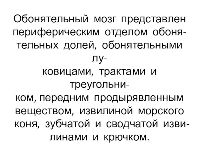 Обонятельный мозг представлен периферическим отделом обоня- тельных долей, обонятельными лу-