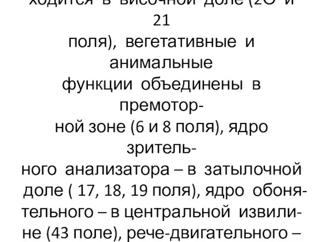 Ядро вестибулярного аппарата на- ходится в височной доле (2О и