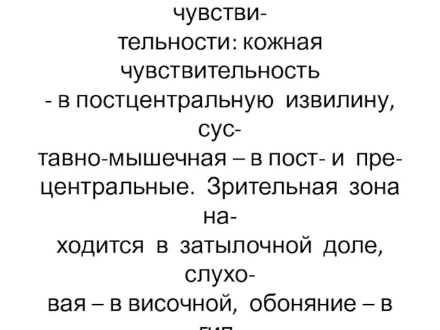 Проекционные зоны коры- зоны, куда проецируются виды чувстви- тельности: кожная