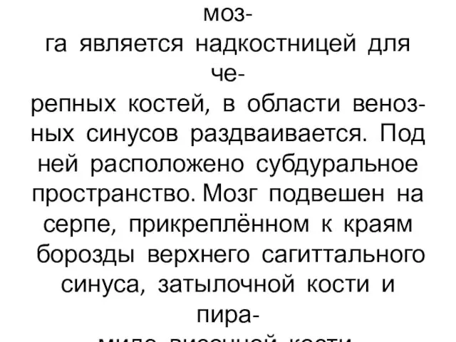 Твёрдая оболочка головного моз- га является надкостницей для че- репных