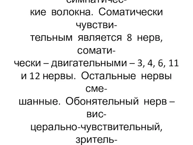 В составе двигательных волокон к органам проходят и симпатичес- кие волокна. Соматически чувстви-