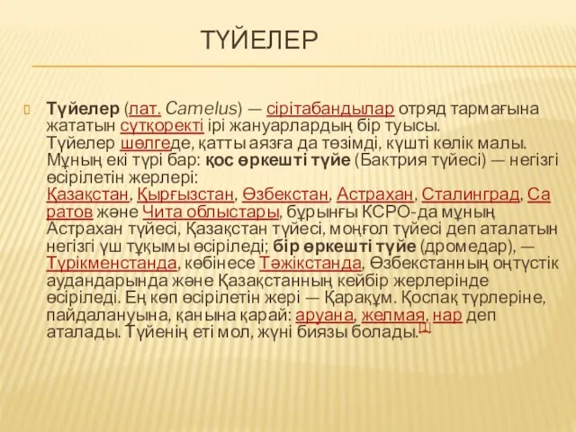 ТҮЙЕЛЕР Түйелер (лат. Camelus) — сірітабандылар отряд тармағына жататын сүтқоректі