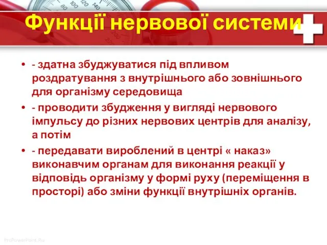 Функції нервової системи - здатна збуджуватися під впливом роздратування з