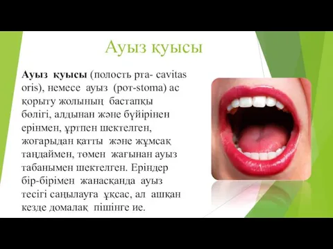 Ауыз қуысы Ауыз қуысы (полость рта- cavitas oris), немесе ауыз