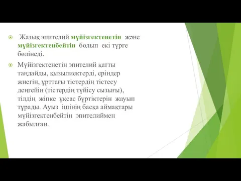 Жазық эпителий мүйізгектенетін және мүйізгектенбейтін болып екі түрге бөлінеді. Мүйізгектенетін