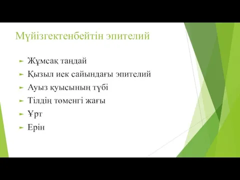 Мүйізгектенбейтін эпителий Жұмсақ таңдай Қызыл иек сайындағы эпителий Ауыз қуысының түбі Тілдің төменгі жағы Ұрт Ерін