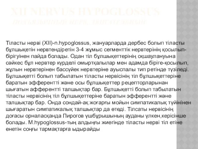 XII NERVUS HYPOGLOSSUS ПОДЪЯЗЫЧНЫЙ НЕРВ, ДВИГАТЕЛЬНЫЙ Тіласты нерві (XII)-n.hypoglossus, жануарларда