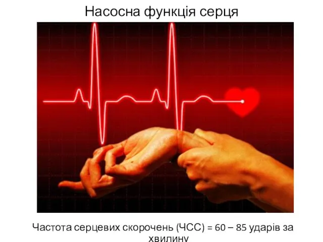 Насосна функція серця Частота серцевих скорочень (ЧСС) = 60 – 85 ударів за хвилину