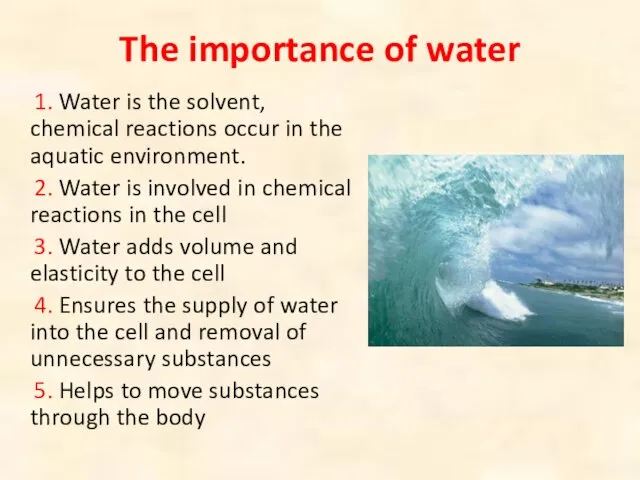 The importance of water 1. Water is the solvent, chemical