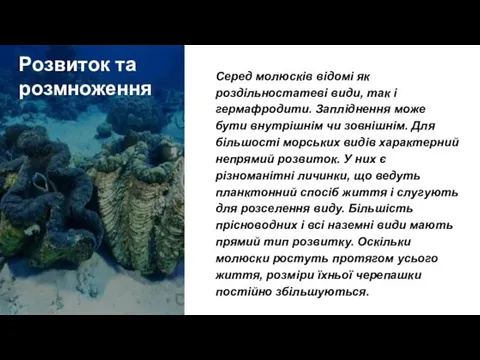 Розвиток та розмноження Серед молюсків відомі як роздільностатеві види, так