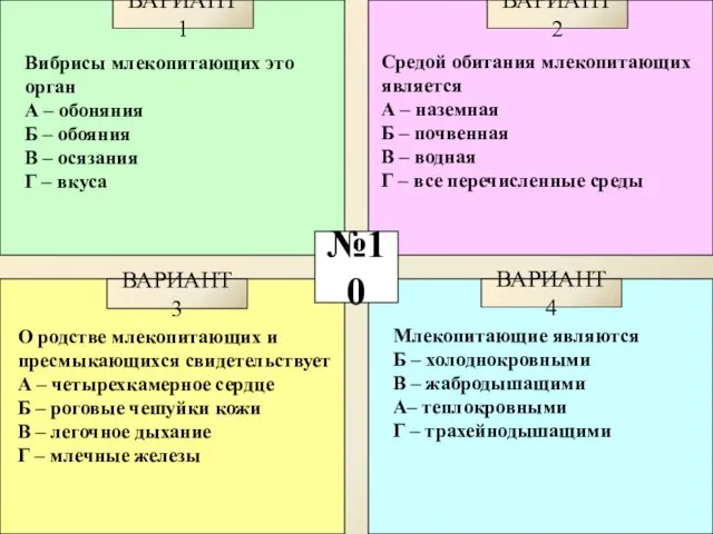 №10 ВАРИАНТ 1 ВАРИАНТ 2 ВАРИАНТ 3 ВАРИАНТ 4 Вибрисы