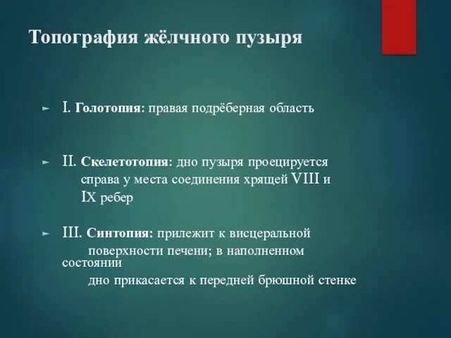 Топография жёлчного пузыря I. Голотопия: правая подрёберная область II. Скелетотопия: