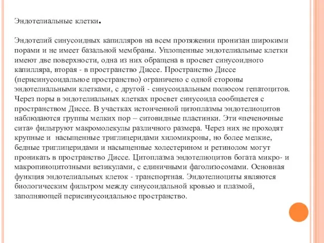 Эндотелиальные клетки. Эндотелий синусоидных капилляров на всем протяжении пронизан широкими