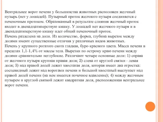 Вентральнее ворот печени у большинства животных расположен желчный пузырь (нет