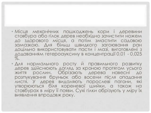 Місця механічних пошкоджень кори і деревини стовбура або гілок дерев