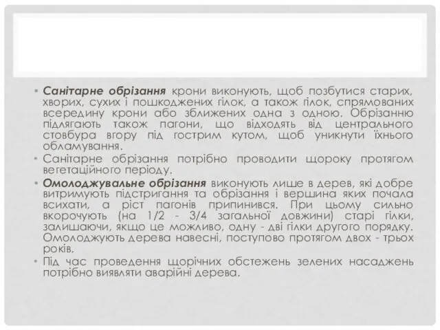 Санітарне обрізання крони виконують, щоб позбутися старих, хворих, сухих і