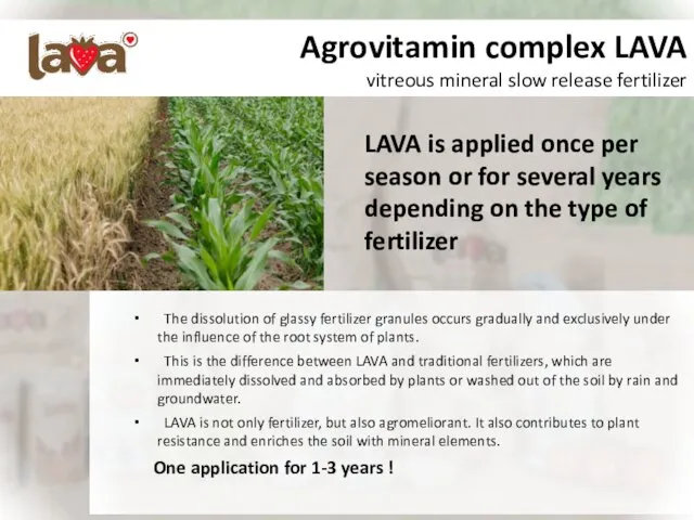 Agrovitamin complex LAVA vitreous mineral slow release fertilizer The dissolution of glassy fertilizer