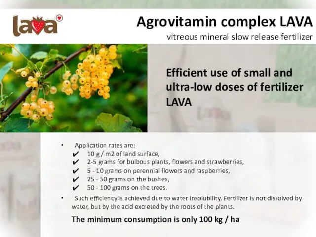 Agrovitamin complex LAVA vitreous mineral slow release fertilizer Application rates are: 10 g