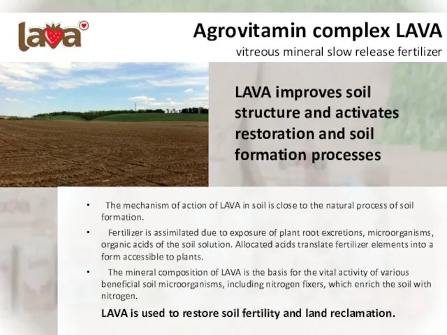 Agrovitamin complex LAVA vitreous mineral slow release fertilizer The mechanism of action of