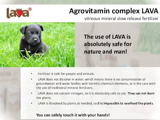 Agrovitamin complex LAVA vitreous mineral slow release fertilizer Fertilizer is safe for people