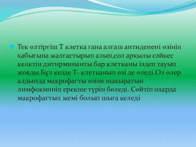 Тек өлтіргіш Т клетка ғана алғаш антиденені өзінің қабығына жалғастырып