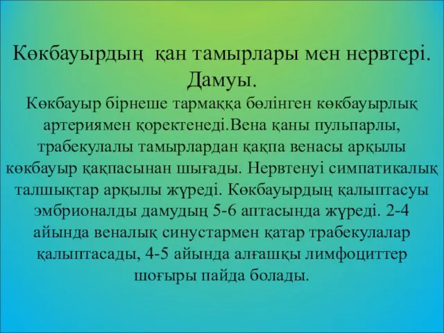 Көкбауырдың қан тамырлары мен нервтері. Дамуы. Көкбауыр бірнеше тармаққа бөлінген