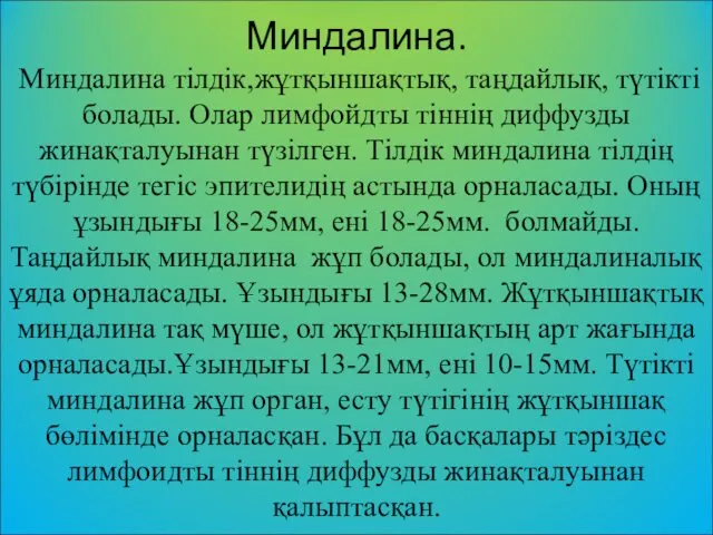 Миндалина. Миндалина тілдік,жұтқыншақтық, таңдайлық, түтікті болады. Олар лимфойдты тіннің диффузды