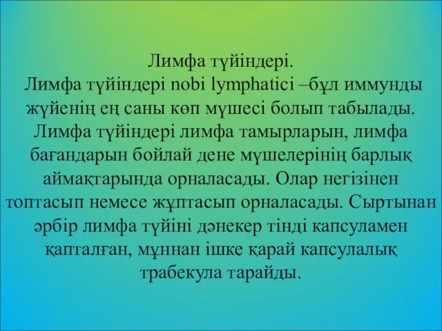 Лимфа түйіндері. Лимфа түйіндері nobi lymphatici –бұл иммунды жүйенің ең