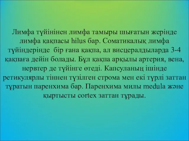 Лимфа түйінінен лимфа тамыры шығатын жерінде лимфа қақпасы hilus бар.