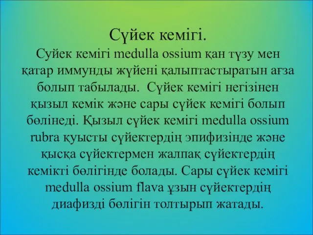 Сүйек кемігі. Суйек кемігі medulla ossium қан түзу мен қатар