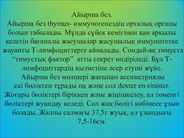 Айырша без. Айырша без thymus- иммуногенездің орталық органы болып табылады.