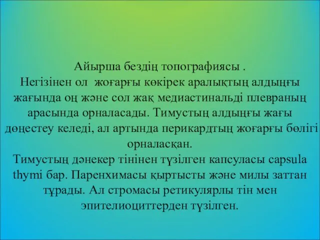 Айырша бездің топографиясы . Негізінен ол жоғарғы көкірек аралықтың алдыңғы