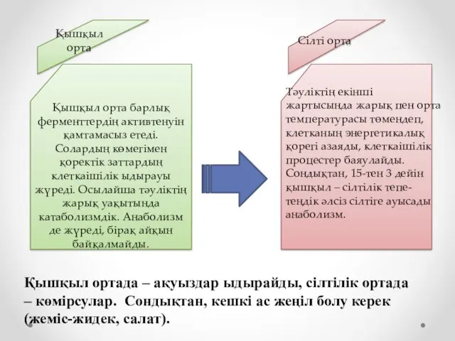 Қышқыл орта Сілті орта Қышқыл орта барлық ферменттердің активтенуін қамтамасыз етеді. Солардың көмегімен