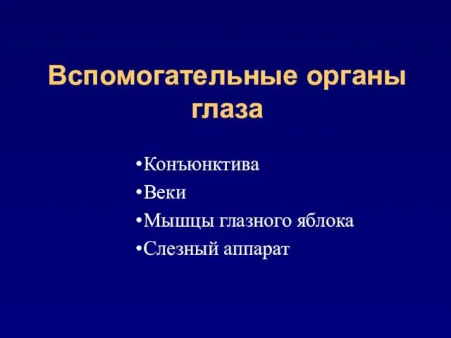 Вспомогательные органы глаза Конъюнктива Веки Мышцы глазного яблока Слезный аппарат