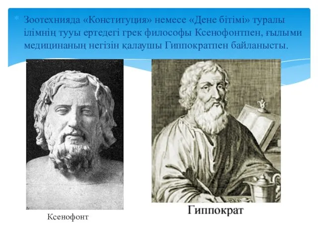 Зоотехнияда «Конституция» немесе «Дене бітімі» туралы ілімнің тууы ертедегі грек