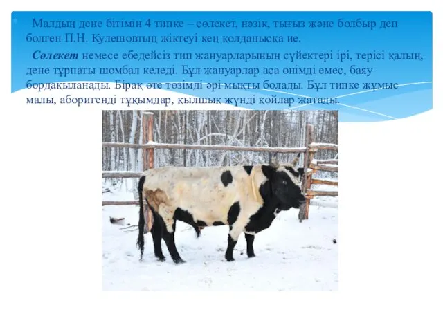 Малдың дене бітімін 4 типке – сөлекет, нәзік, тығыз және болбыр деп бөлген