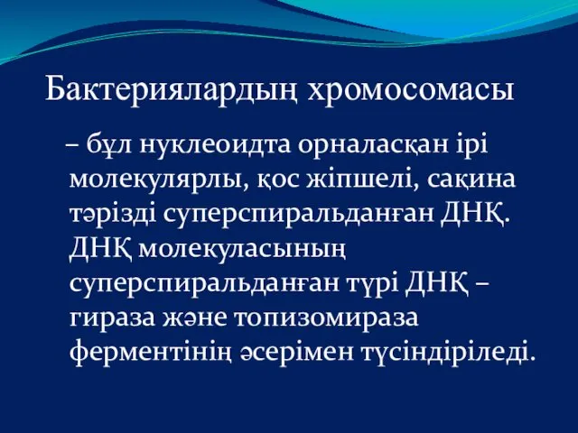 Бактериялардың хромосомасы – бұл нуклеоидта орналасқан ірі молекулярлы, қос жіпшелі,