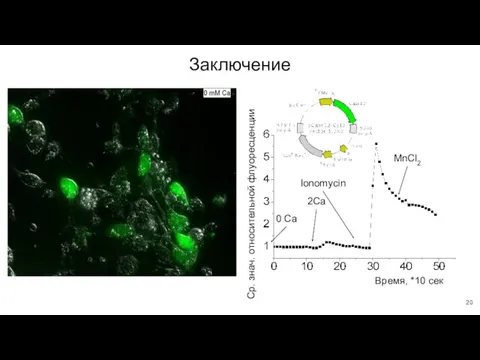 Заключение