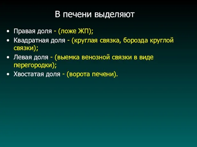 В печени выделяют Правая доля - (ложе ЖП); Квадратная доля