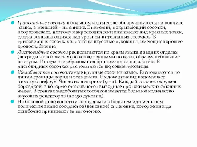 Грибовидные сосочки в большом количестве обнаруживаются на кончике языка, в меньшей – на