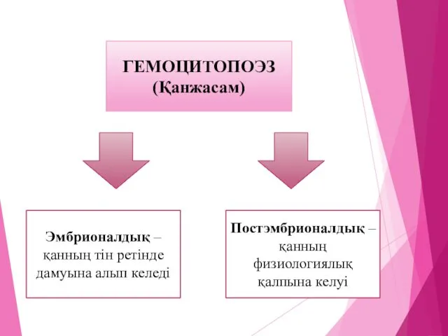 ГЕМОЦИТОПОЭЗ (Қанжасам) Эмбрионалдық – қанның тін ретінде дамуына алып келеді Постэмбрионалдық – қанның физиологиялық қалпына келуі