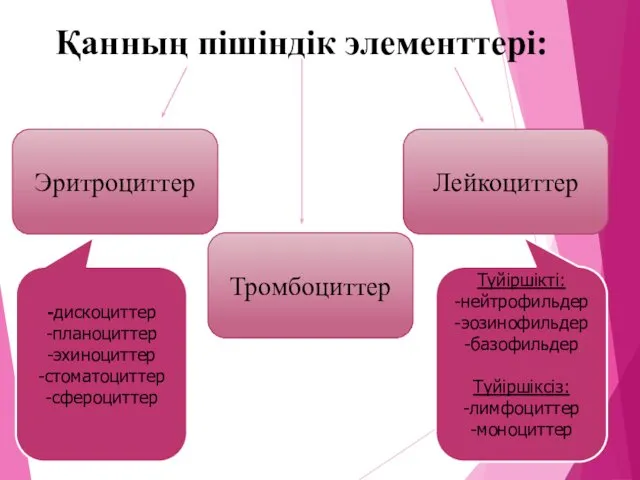 Қанның пішіндік элементтері: Эритроциттер Тромбоциттер Лейкоциттер -дискоциттер -планоциттер -эхиноциттер -стоматоциттер