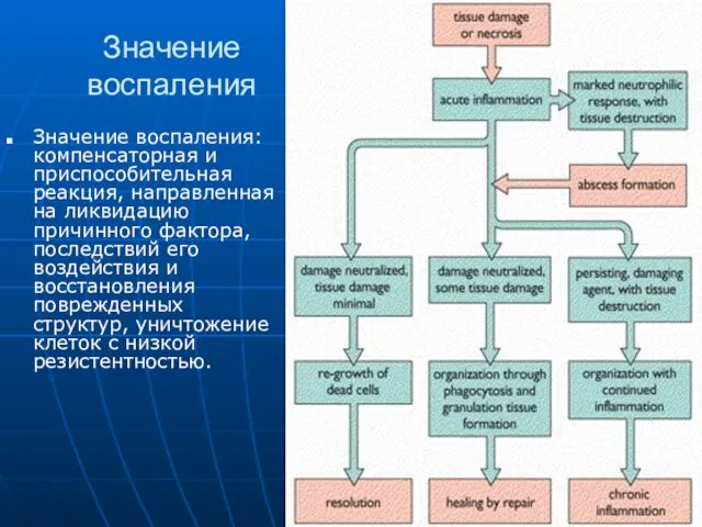 Значение воспаления Значение воспаления: компенсаторная и приспособительная реакция, направленная на